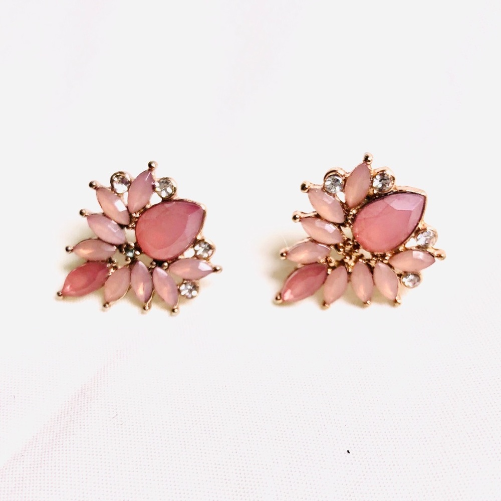 💕NWOT Iris Earrings💕